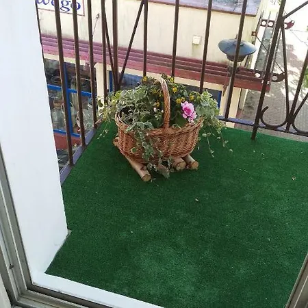 Bogusz